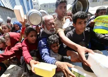 الأونروا: الاستجابة الإنسانية في غزة تنهار وعلينا وقف المجاعة