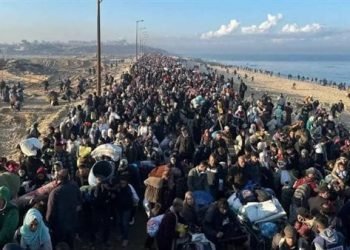 حماس عن مقترح مبعوث ترامب: جاهزون للمفاوضات