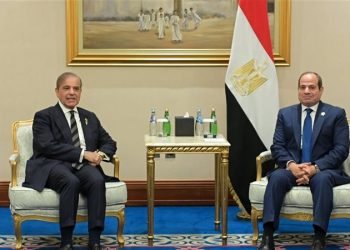 رئيس الوزراء الباكستاني يُشيد بموقف مصر تجاه القضية الفلسطينية