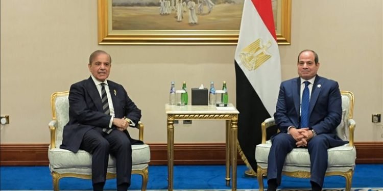 رئيس الوزراء الباكستاني يُشيد بموقف مصر تجاه القضية الفلسطينية