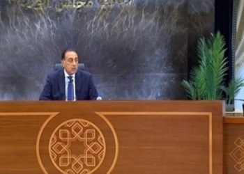 مدبولي: اجتمعنا مع شركات عالمية لتوطين مكونات الطاقة المتجددة في مصر