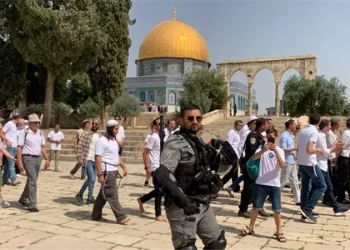 مستوطنون متطرفون يقتحمون المسجد الأقصى تحت حماية شرطة الاحتلال الإسرائيلي