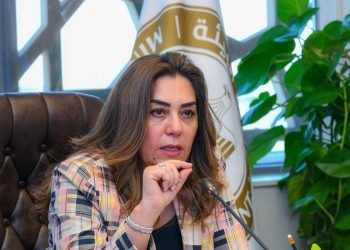 وزيرة التنمية المحلية تصدر قراراً بتنظيم صيد الطيور البرية في عدد من المحافظات المصرية