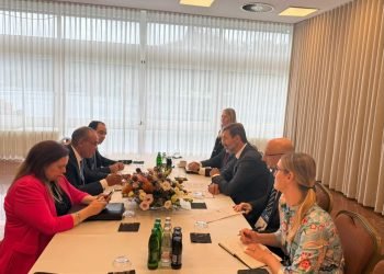 وزير الخارجية يلتقي نظيره السلوفاكي