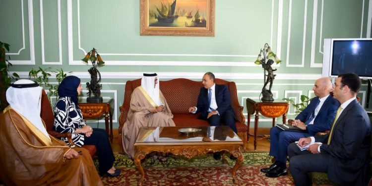 وزيرا خارجية مصر والبحرين يبحثان تعزيز التعاون الثنائي والقضايا الإقليمية