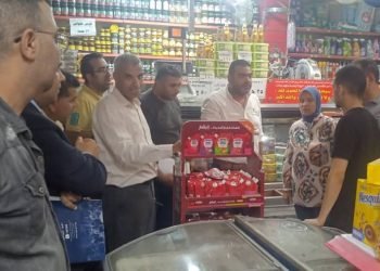 الإسكندرية تشن حملات مكثفة لضبط الأسواق وحماية صحة المواطنين