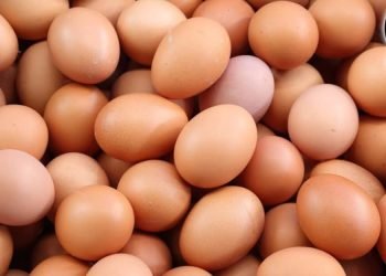 وزارة الزراعة تطرح البيض بـ130 جنيهاً عبر المنافذ المتنقلة
