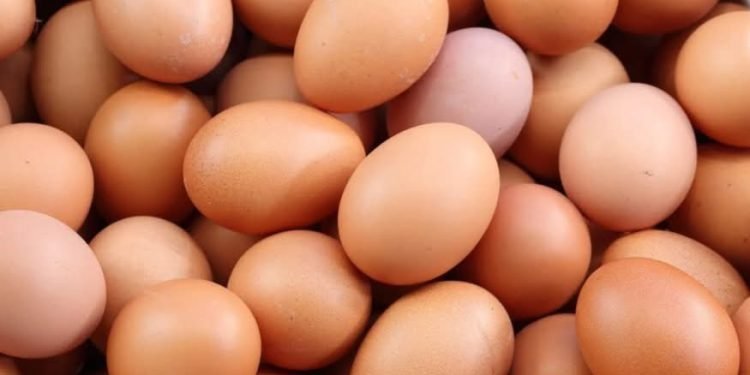 وزارة الزراعة تطرح البيض بـ130 جنيهاً عبر المنافذ المتنقلة