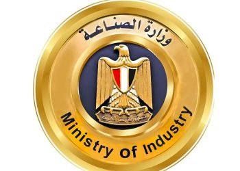 وزارة الصناعة تنفي ما تم تداوله بشأن إلغاء “بروتوكول الشحن الصيني” الخاص بالسيارات الكهربائية