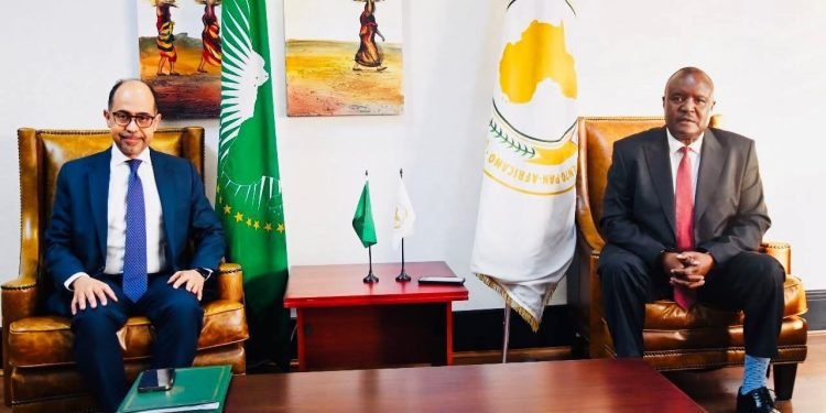 لقاء دبلوماسي في جنوب أفريقيا لتعزيز الشراكة بين مصر والبرلمان الإفريقي