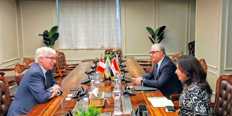مباحثات مصرية بيروفية لتوسيع التعاون الصناعي واللوجستي
