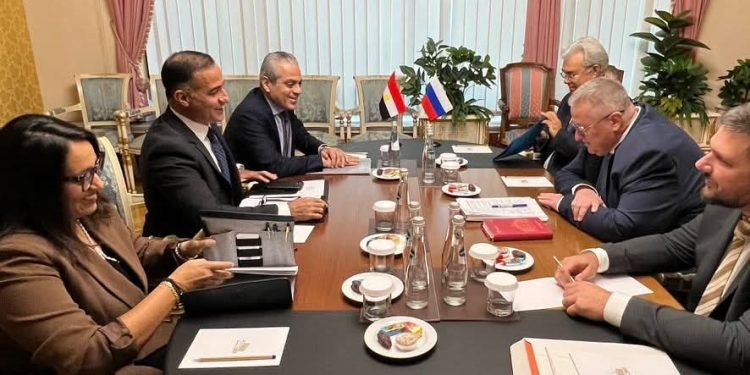 السفير المصري في موسكو يلتقي نائب رئيس الوزراء الروسي