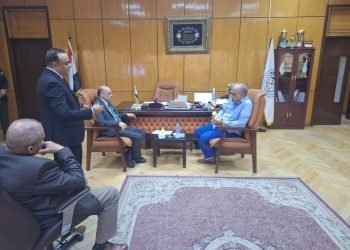 وزير الكهرباء يشيد بدور هيئة المواد النووية في تعظيم الاستفادة من الثروات المعدنية