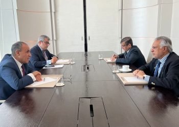 مصر وباكستان تبحثان تعزيز التعاون الثنائي في الدوحة خلال القمة العربية الإسلامية