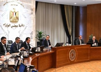 رئيس الوزراء يتابع جهود توفير الأدوية والمستلزمات الطبية وإجراءات توطين صناعة الدواء في مصر