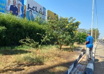 محافظ الغربية يشدد على استمرار حملات النظافة والتشجير لبناء بيئة صحية وآمنة