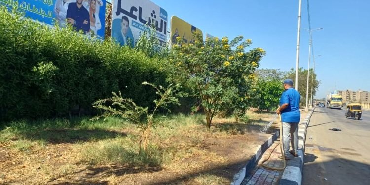 محافظ الغربية يشدد على استمرار حملات النظافة والتشجير لبناء بيئة صحية وآمنة