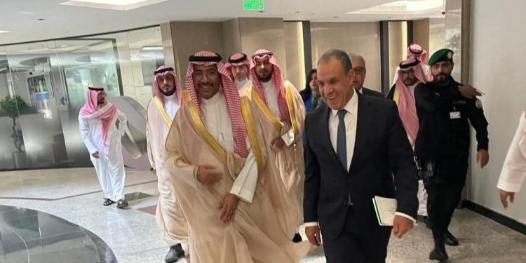 وزير الخارجية يبحث مع وزير الصناعة السعودي تعزيز التعاون الصناعي والاستثماري
