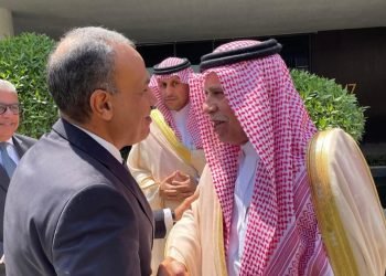 وزير الخارجية المصري يؤكد دعم الاستثمار السعودي ويستعرض الإصلاحات الاقتصادية
