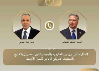 وزير الخارجية: وقف إطلاق النار ضروري لتخفيف الأزمة الإنسانية في غزة