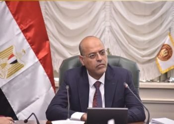 وزير العمل: 2.3 مليون جنيه دعم ورعاية جديدة للعمالة غير المنتظمة