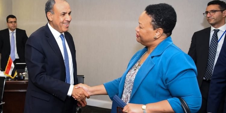وزير الخارجية يلتقي المديرة التنفيذية للآلية الأفريقية لمراجعة النظراء