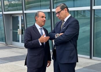 وزير الخارجية: مصر ملتزمة بدعم القضية الفلسطينية وتطوير التعاون مع قبرص