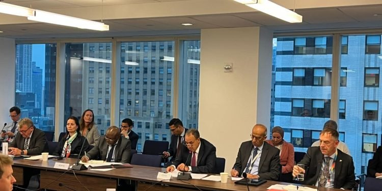 وزير الخارجية: مصر استضافت ملايين السودانيين وتواصل دعمها الإنساني للشعب الشقيق