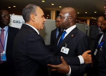 وزير الخارجية يبحث مع نظيره الأنجولي توسيع آفاق التعاون المشترك