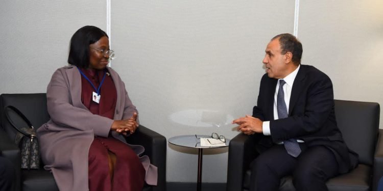 وزير الخارجية يؤكد أهمية الشراكة مع موزمبيق في مجالات البترول والطاقة والصحة