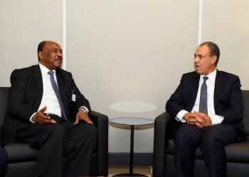 وزير الخارجية: موقف مصر ثابت لدعم سيادة ووحدة السودان