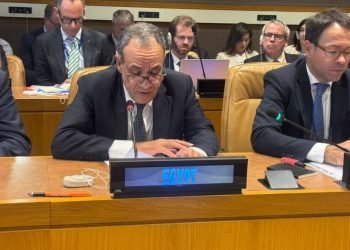 وزير الخارجية يدعو لمؤتمر دولي لإعادة إعمار غزة فور التوصل لوقف إطلاق النار