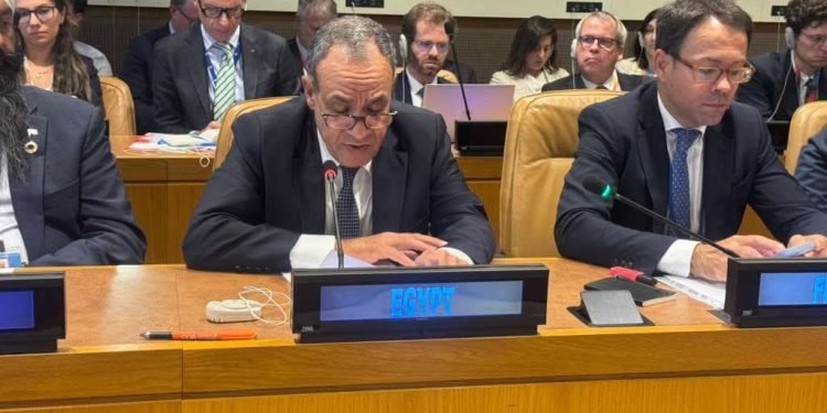 وزير الخارجية يدعو لمؤتمر دولي لإعادة إعمار غزة فور التوصل لوقف إطلاق النار