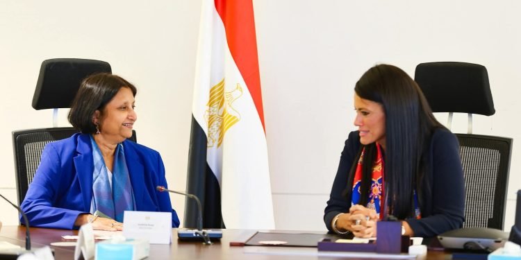 وزيرة التخطيط: اقتصاد أكثر إنتاجية.. واستثمارات عامة تحت السيطرة بـ1.16 تريليون جنيه