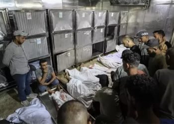 ألمانيا تدعم مقترح فرنسا لحل الدولتين للصراع الفلسطيني الإسرائيلي