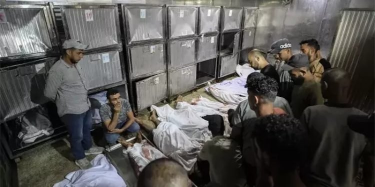 ألمانيا تدعم مقترح فرنسا لحل الدولتين للصراع الفلسطيني الإسرائيلي