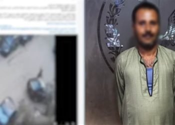 القبض على المتهم بالاعتداء على كلب بعصا خشبية في القاهرة