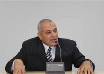 شعبة الدواجن: 35 جنيهًا تكلفة إنتاج الدجاجة الواحدة