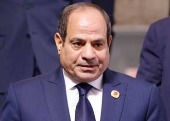 الرئيس السيسي يستعرض رؤية مصر لتعزيز التعاون داخل تجمع بريكس