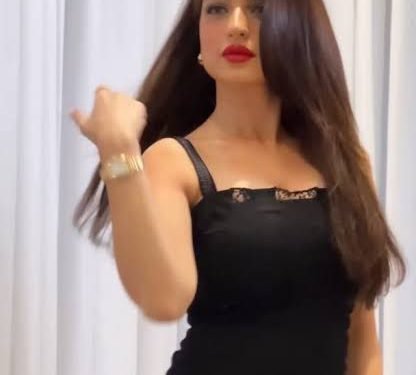 كان عاوز رقاق باللحمة.. ياسمين عز تكشف حقيقة خلاف حسام حسن ومصطفى محمد