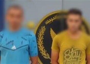 الداخلية تكشف ملابسات فيديو جمع كلاب ضالة داخل أجولة في بني سويف