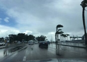 الأرصاد الجوية: أمطار غزيرة على بعض المناطق الساحلية.. في هذا التوقيت
