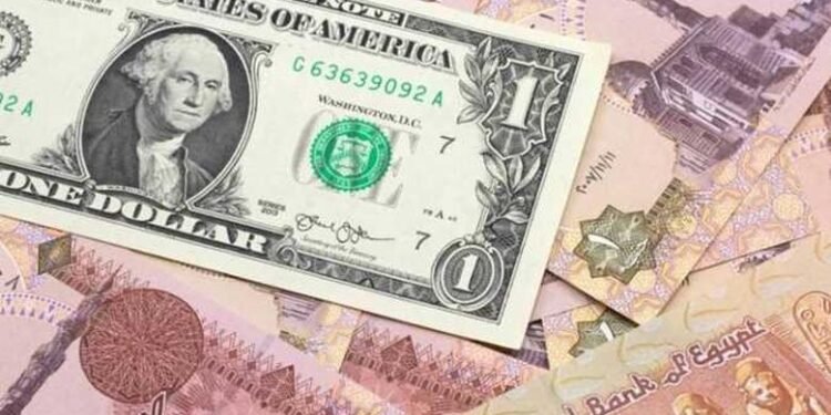 الدولار يثبت أمام الجنيه المصري اليوم الخميس
