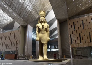 خبير تربوي: المتحف المصري الكبير فرصة تاريخية لتعزيز الهوية الوطنية في نفوس الطلاب