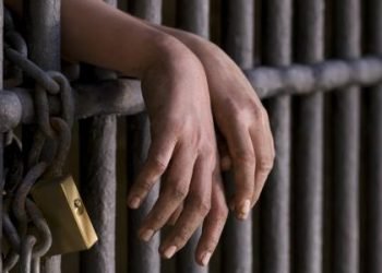 القبض على بلوجرين لاتهامهما بنشر فيديوهات خادشة للحياء العام