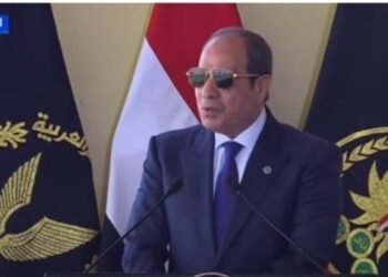 الرئيس السيسي: الحمد لله على كل يوم يمر بسلام وأمان على بلدنا