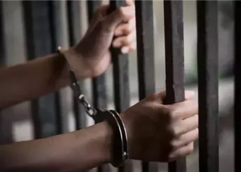 حبس المتهم في واقعة دهس طلاب بيفرلي هيلز بالشيخ زايد