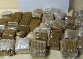 ضبط 351 طربة حشيش مع عصابة يتزعمها فكهاني بالإسكندرية