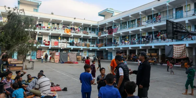 رغم الصعاب.. الأونروا: مدارسنا في غزة ملاذٌ آمن و12 ألف موظف يواصلون العمل يوميًا