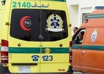 نقل 8 تلاميذ إلى مستشفى الشهداء بالمنوفية بعد إصابتهم بحالة قيء